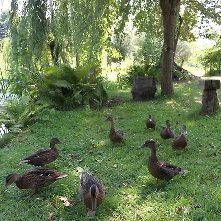 Ferienhaus Eisvogel Дом отдыха Люббенау