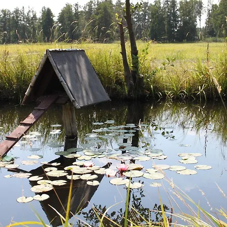 Дом отдыха Ferienhaus Eisvogel *