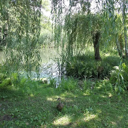 Дом отдыха Ferienhaus Eisvogel Люббенау